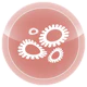 Infection Control